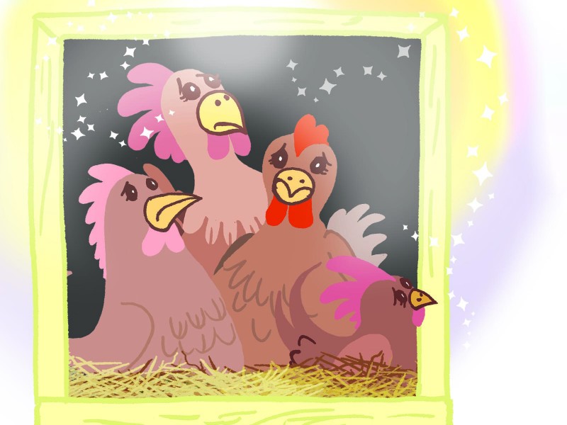 Baba Stefka and the Magic Chook